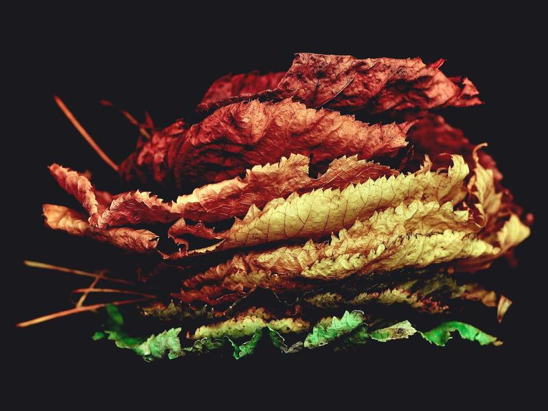 光之教堂<br>kclfxfu.cn 安藤忠雄十字架